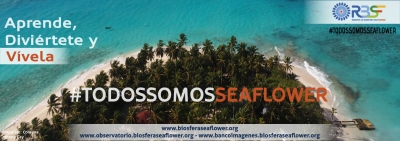Campaña Promocional “Todos Somos Seaflower”