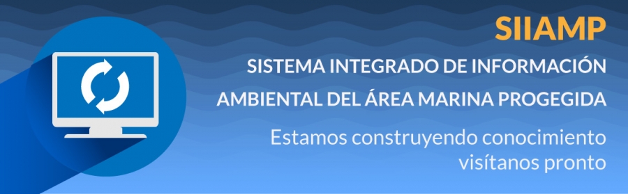 SIIAMP - en construcción